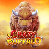 CRAZY BUFFALO