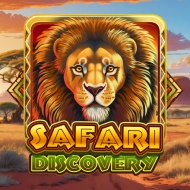 Safari Discovery