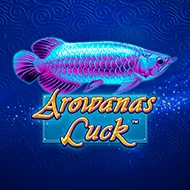 Arowanas Luck