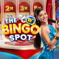 The Bingo Spot