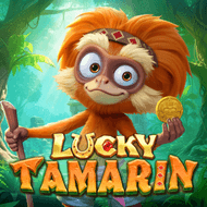 Lucky Tamarin