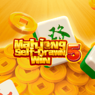 Mahjong Self-Drawn Win 5